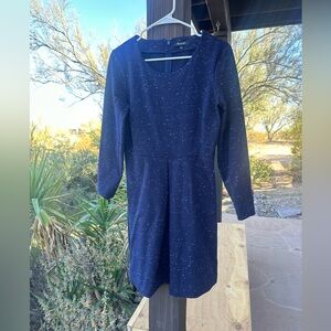 Madewell fit and flare dress